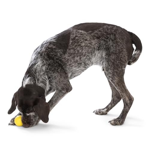 Boundr Ball Dog Fetch Toy (Small (Pack of 2) / Dandelion)