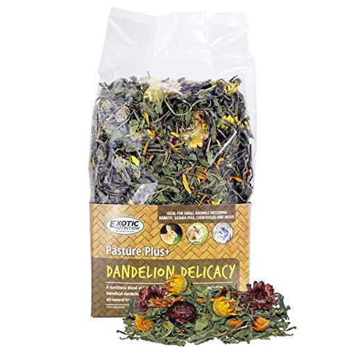 Pasture Plus+ Dandelion Delicacy