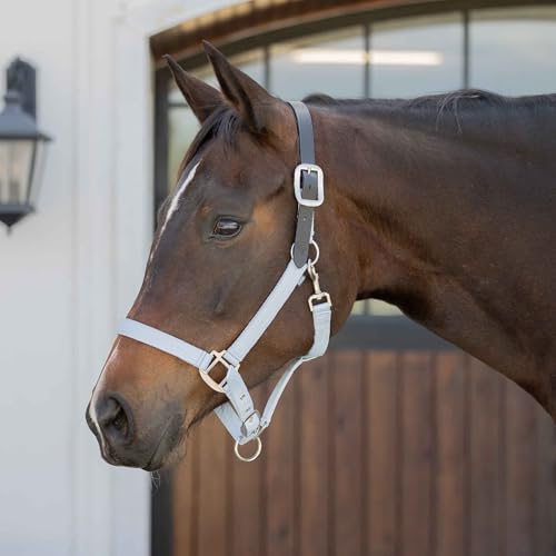 Loki Nylon Horse Halter (Sweet Blue / Pony)
