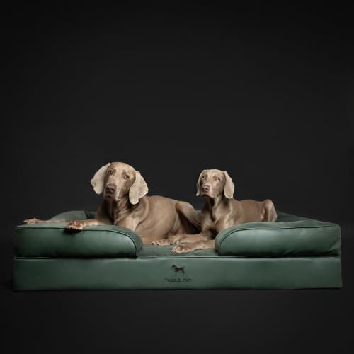 XXL Dog Bed Orthopedic Memory Cooling Foam (Green - LE / XX-Large)
