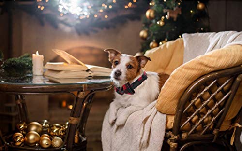 Christmas Dog and Cat Collar with Bowtie (Large (Pack of 1) / Red&Green Grid)