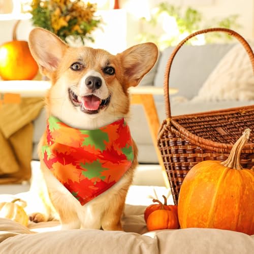 30 Pcs Fall Dog Bandanas Bulk for Autumn Thanksgiving Medium Large (Fall Style)