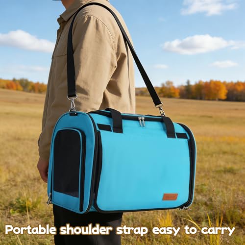 Cat Carrier Backpack (blue)