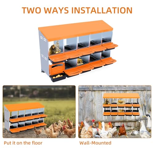 Chicken Nesting Boxes (56.7"L x 17.5"W x 11.0"H / Orange)