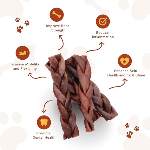 6" Braided Beef Collagen Sticks for Dogs (1 Count (Pack of 1))