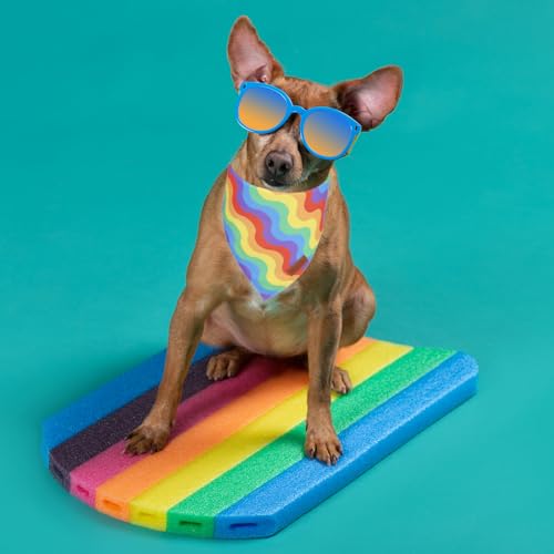 Rainbow Dog Bandanas (X-Large / Rainbow)