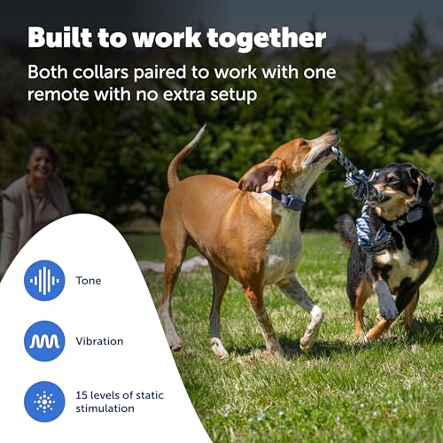 Core Dog Trainer with Remote and Add (2-Dog Trainer)