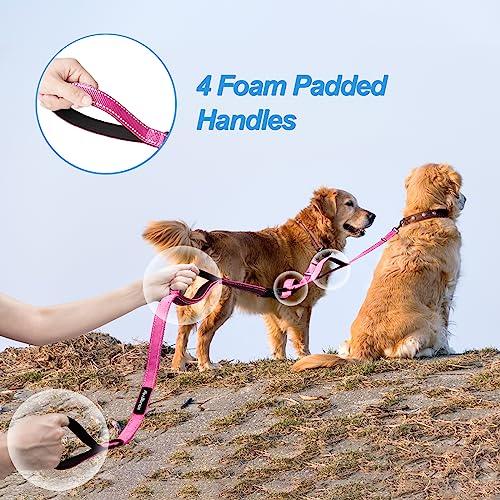 Double Dog Leash (Pink)