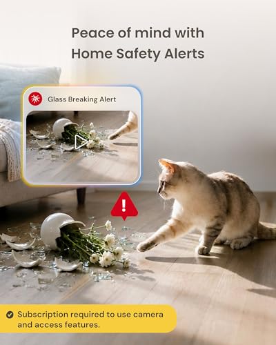360° Cat Camera [Paid Plan Required to Activate] (360° Cat Camera / Subscription Required to Activate)
