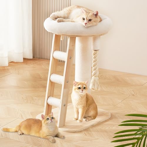 Modern Cat Tree Small Tower with Scratching Post for Indoor (with Ladder)