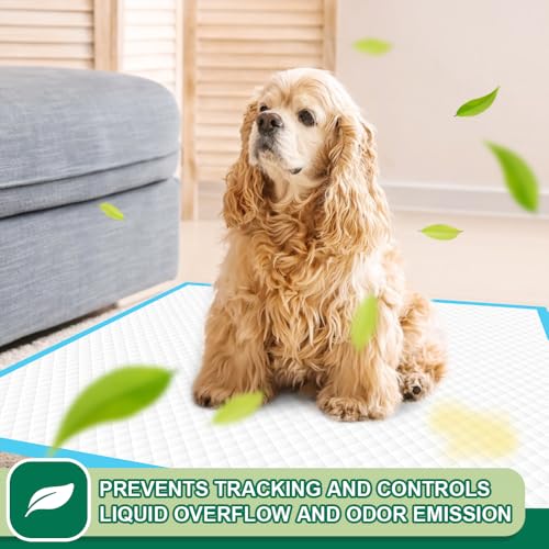 Puppy Pee Pads 22"x23" (22" x 23" (50 Count))