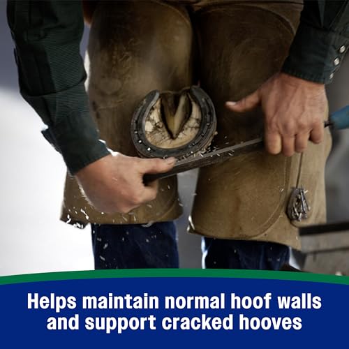 Horseshoer's Secret Pelleted Hoof & Biotin Supplements (Original formula / 22 pounds)