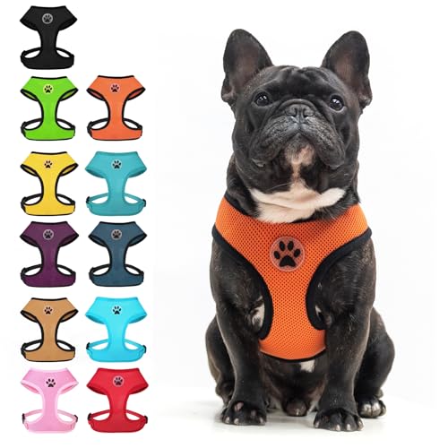 Small Dog Harness (XL (NECK: 20.5", CHEST: 20.5"-27") / Orange)