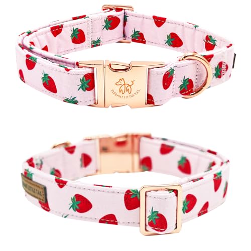 Summer Dog Collar (Strawberry / Medium (Pack of 1))