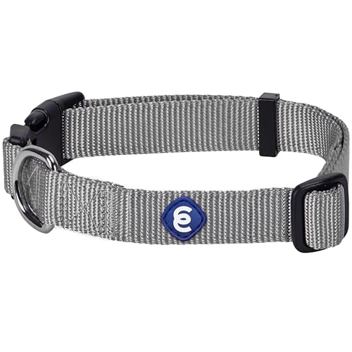 Essentials Medium Dog Collar in Flint Gray (Medium / Flint Gray)