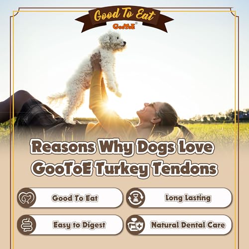 Turkey Tendons for Dogs (1 Pound (Pack of 1))