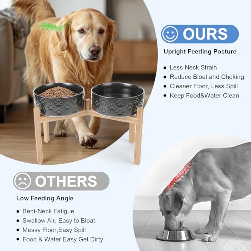 Elevated Dog Bowls Ceramic (8.3 in - 7.6 cups / Paw Black)