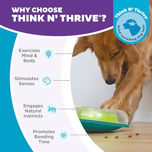 by Nina Ottosson Wobble Bowl Slow Feeder Dog Puzzle (One Size)