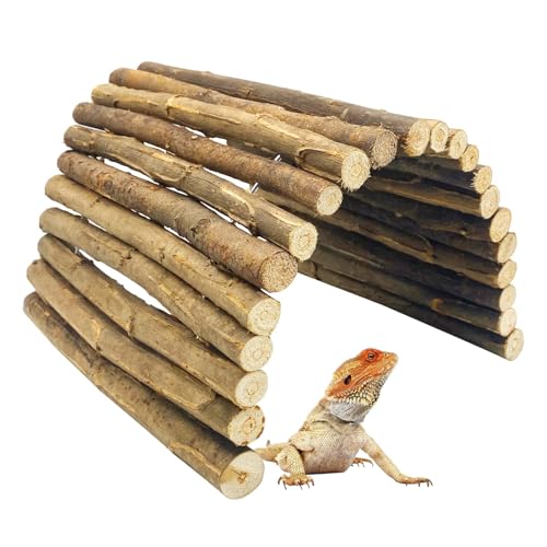 18.89"x 12.99" Reptile Hideout Wooden Bridge Lizard Hide Caves Bearded Dragon Habitat Accessories for Gecko Snake Frog Chameleon Iguana Tortoise