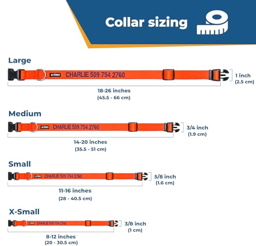 Personalized Dog Collar
