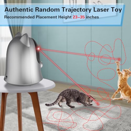 Cat Laser Toys for Indoor Cats (Silver)
