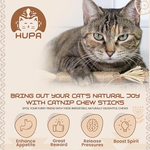 Catnip Silvervine Sticks (Silvervine)