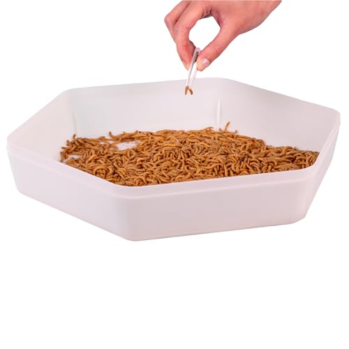 Mealworm Container Storage Tray with Lid and Carbon Filter