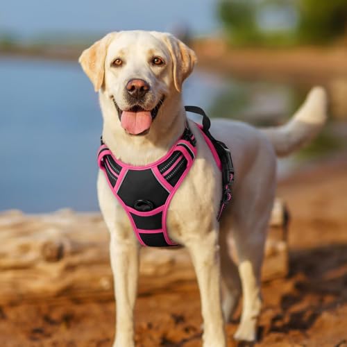 Dog Harness No Pull for Large Dogs with 2 Leash Clips (Large / Black & Hot Pink)