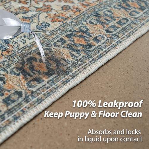 Washable Pee Pads for Dogs (24x36 Inch (Pack of 2) / Beige/Multi)