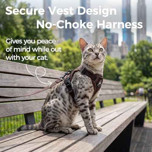 Cat Harness and Leash Set (Brown / Medium)