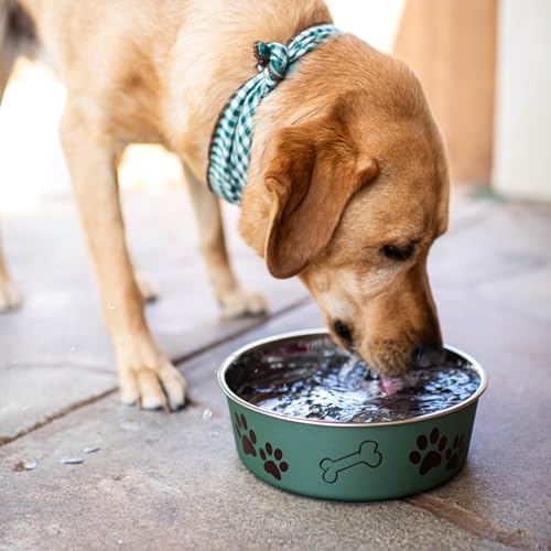 Bella Dog Bowls