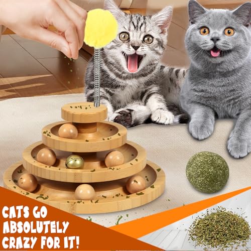 Cat Ball Track (Large - Standard)