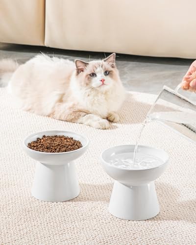 2 Pack 6.2" Wide Elevated Cat Bowls (White)