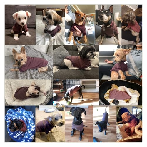 Dog Sweaters for Small Dogs (Brown / X-Small)