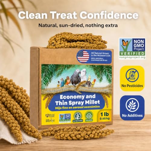 1lb Economy & Special Spray Millet for Birds (1 Pound (Pack of 1))
