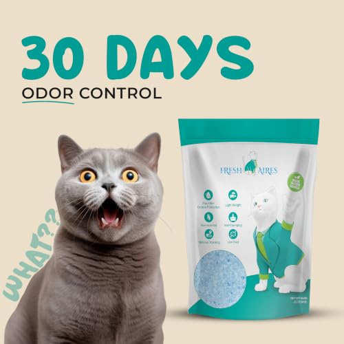 Silica Crystal Cat Litter (Pack of 1)