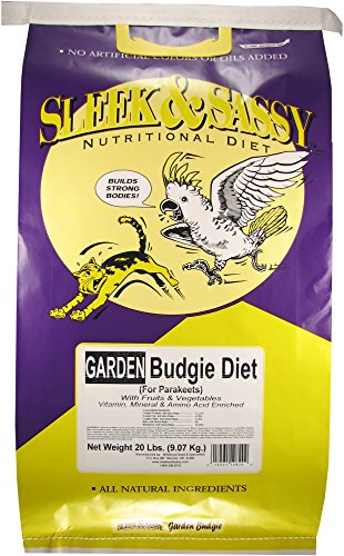 Garden Budgie