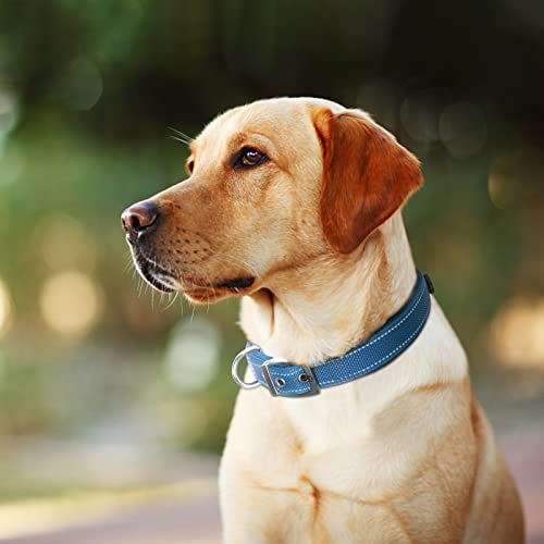 Heavy Duty Dog Collar for Large Dogs with Metal Belt Buckle (Large(19"-23") / Blue)
