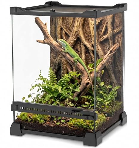 8"x8"x12" Reptile Terrarium