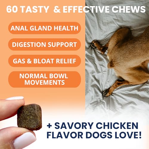 Scoot Stop Chews for Dogs