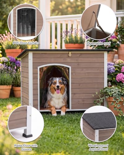 Dog House Outdoor