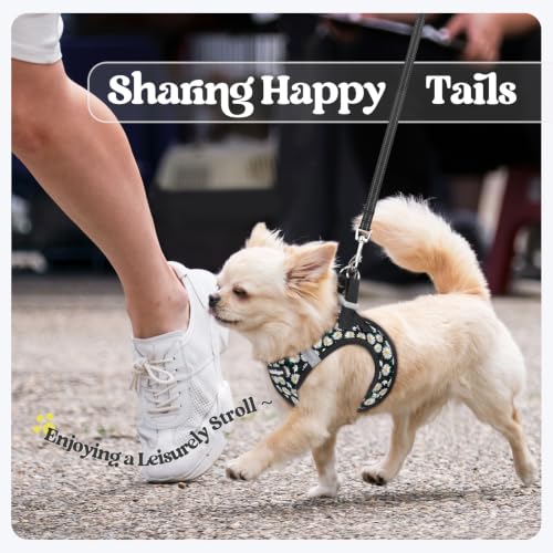 Dog Harness Small Sized and Leash Set (Midnight Daisy / S (chest: 15.1 - 16.5"))
