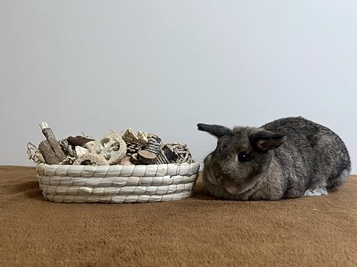 31PCS Rabbit Chew Treat Toys for Teeth Health (Chew Toys Set A)