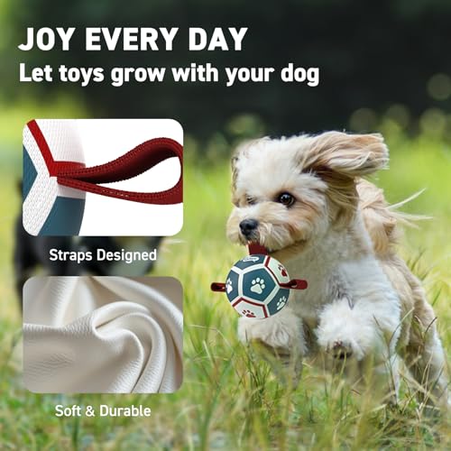 Small Dog Toys (Red-Blue / Extra Small Size 0 (3.5 Inch))
