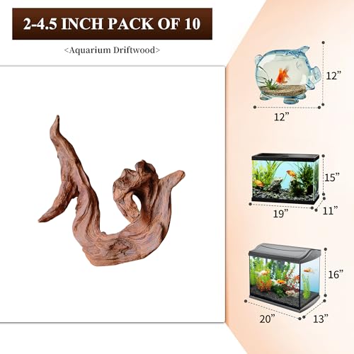 Natural Small Driftwood for Aquarium Decor Reptile Decor (Mopani Driftwood 2 to 4.5 Inch (Pack of 10))