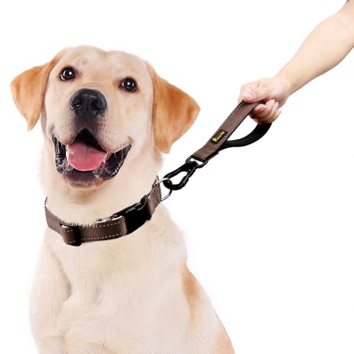 Short Dog Leash with Padded Handle for Medium Large Dogs (Chocolate / 10 Inch (Pack of 1))