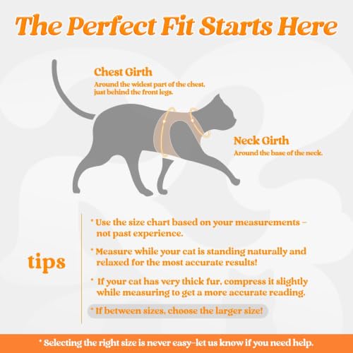 Cat Harness and Leash Set (M / Orange)
