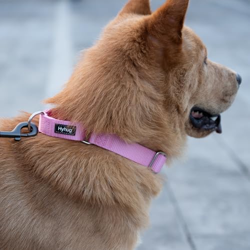 Martingale Dog Collar (Small / Bonbon Pink)