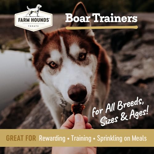 Boar Trainers (4.5 Ounce (Pack of 2))