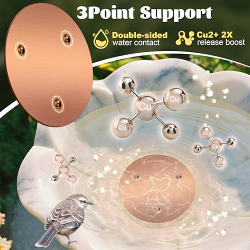 2 Pack Bird Bath Copper Disk (Copper/2PCS)